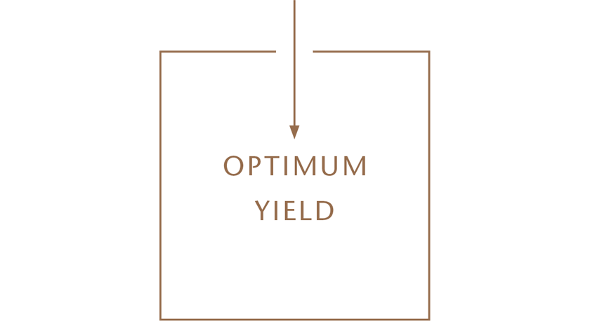 graphic optimum yield
