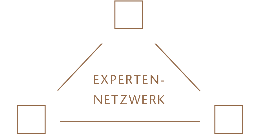 Grafik Experten-Netzwerk