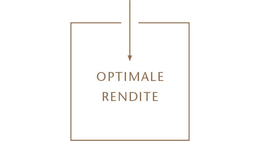 Grafik Optimale Rendite
