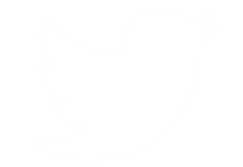 Twitter-Icon