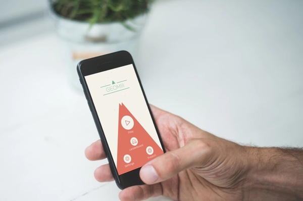 Screenshot of geomiii